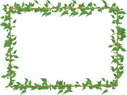 flowers & Floral frame free transparent png image.