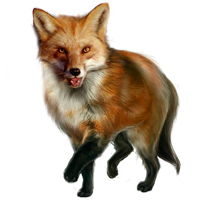 animals & Fox free transparent png image.