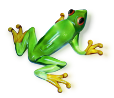 animals & frog free transparent png image.