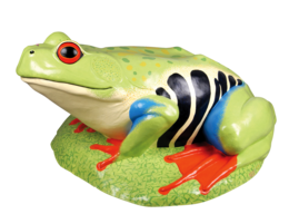 animals & Frog free transparent png image.