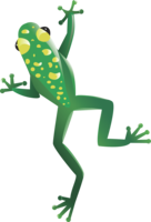 animals & Frog free transparent png image.