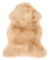 animals & Fur free transparent png image.