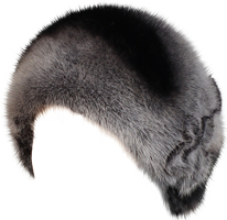 animals & Fur free transparent png image.