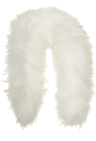 animals & fur free transparent png image.