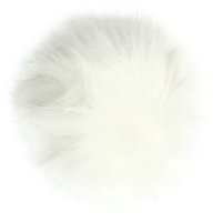 animals & Fur free transparent png image.