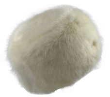 animals & fur free transparent png image.