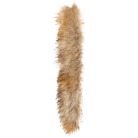 animals & fur free transparent png image.