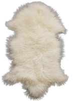 animals & fur free transparent png image.