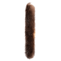 animals & fur free transparent png image.