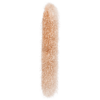 animals & fur free transparent png image.