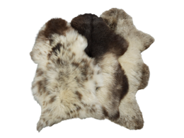 animals & fur free transparent png image.