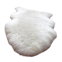 animals & fur free transparent png image.