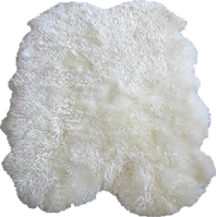 animals & Fur free transparent png image.