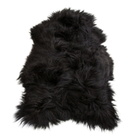 animals & Fur free transparent png image.