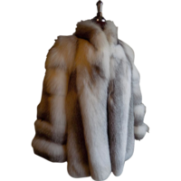 clothing & Fur coat free transparent png image.