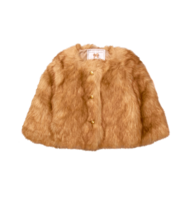 clothing & fur coat free transparent png image.