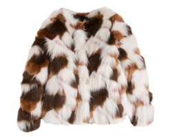 clothing & Fur coat free transparent png image.