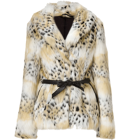 clothing & Fur coat free transparent png image.