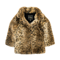 clothing & Fur coat free transparent png image.