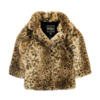 clothing & fur coat free transparent png image.