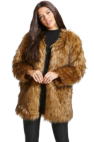 clothing & fur coat free transparent png image.