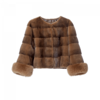 clothing & Fur coat free transparent png image.