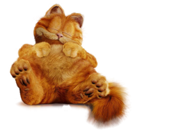 heroes & Garfield free transparent png image.