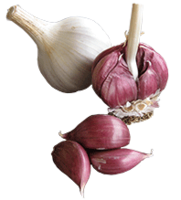 vegetables & Garlic free transparent png image.