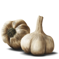 vegetables & garlic free transparent png image.