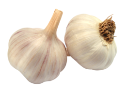 vegetables & garlic free transparent png image.