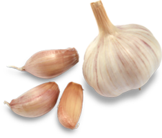 vegetables & Garlic free transparent png image.