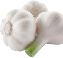 vegetables & garlic free transparent png image.