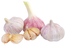 vegetables & Garlic free transparent png image.