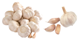 vegetables & Garlic free transparent png image.