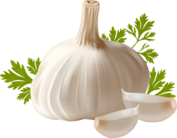 vegetables & garlic free transparent png image.