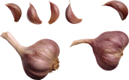 vegetables & garlic free transparent png image.