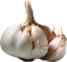 vegetables & Garlic free transparent png image.