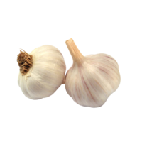 vegetables & garlic free transparent png image.