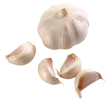 vegetables & garlic free transparent png image.