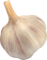 vegetables & Garlic free transparent png image.