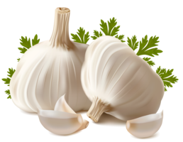 vegetables & Garlic free transparent png image.