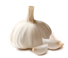 vegetables & garlic free transparent png image.