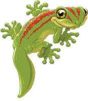 animals & Gecko free transparent png image.