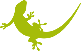 animals & gecko free transparent png image.