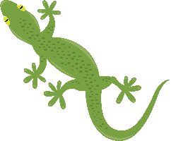 animals & gecko free transparent png image.