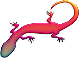 animals & Gecko free transparent png image.