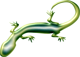 animals & gecko free transparent png image.