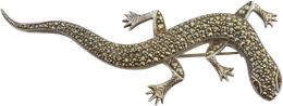 animals & Gecko free transparent png image.