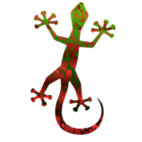 animals & Gecko free transparent png image.