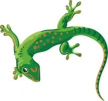 animals & Gecko free transparent png image.